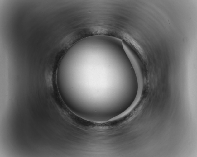 X0000094940209200711291400