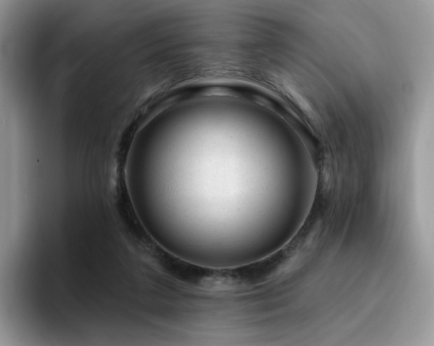 X0000094940211200711291400