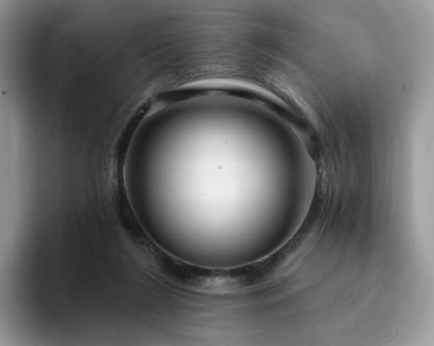 X0000094940212200711291400