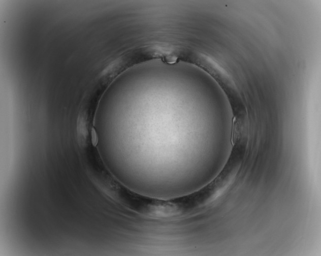 X0000094940215200711291400