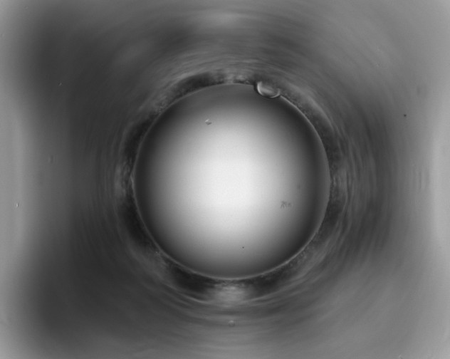 X0000094940218200711291400