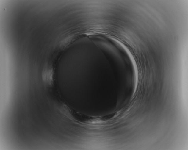 X0000094940219200711291400