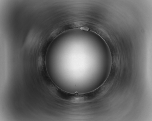 X0000094940220200711291400