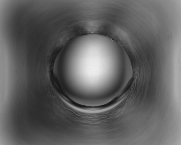 X0000094940221200711291400