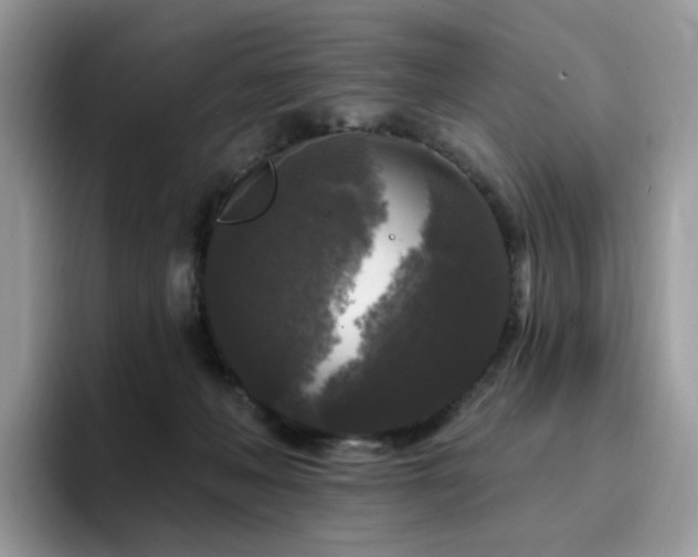 X0000094940222200711291400