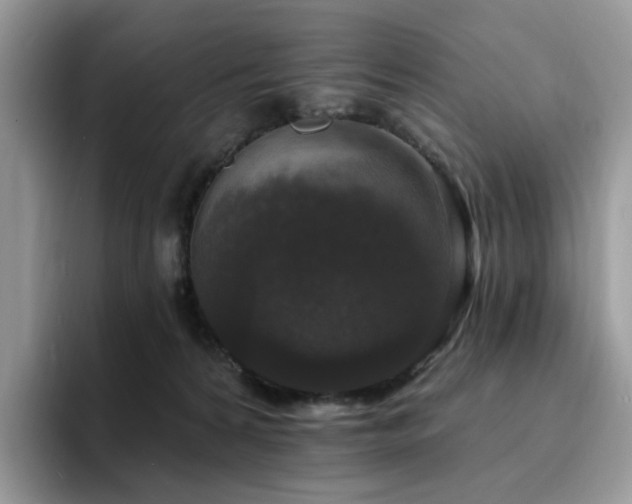 X0000094940224200711291400