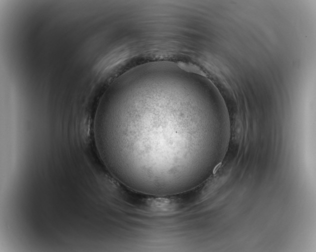 X0000094940230200711291359