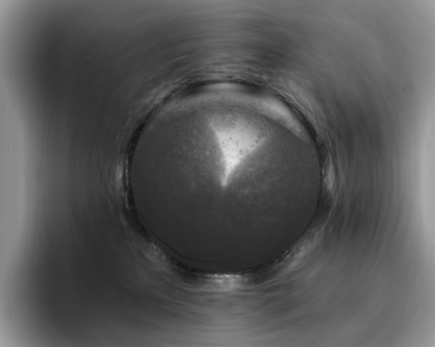 X0000094940233200711291359