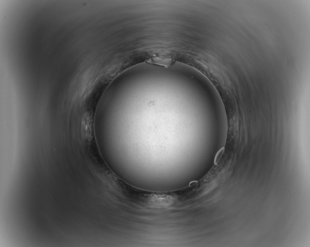 X0000094940234200711291359