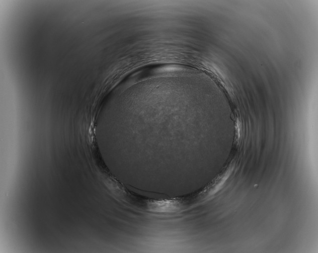 X0000094940237200711291359