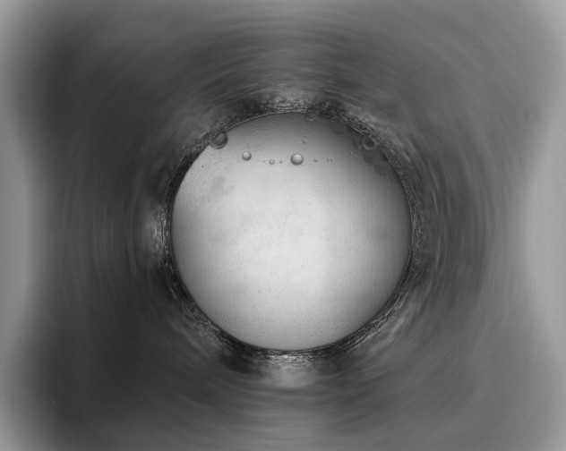 X0000094940240200711291359