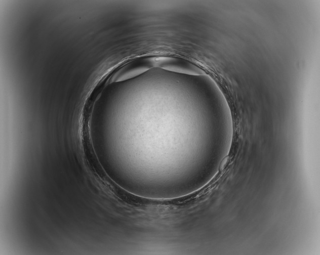 X0000094940242200711291359