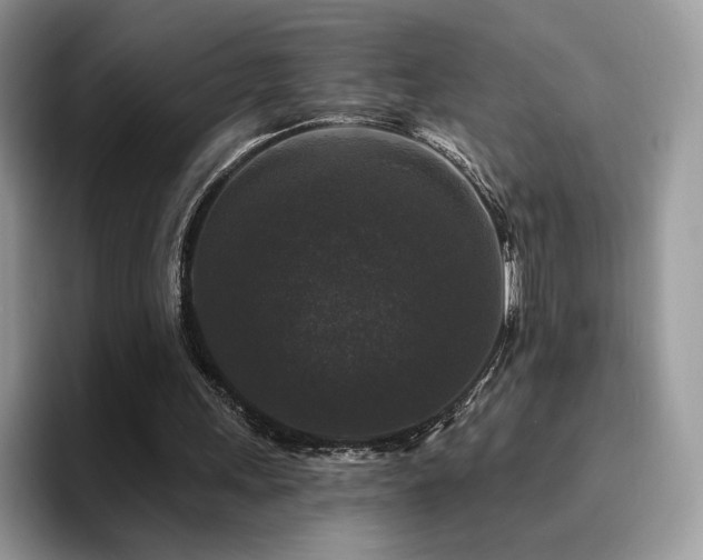 X0000094940243200711291359