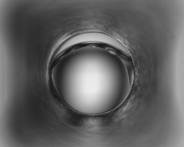 X0000094940248200711291359