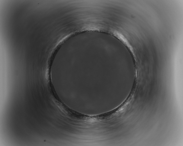 X0000094940249200711291359