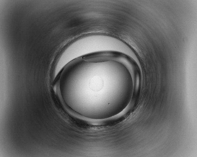 X0000094940252200711291359