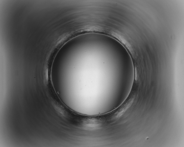 X0000094940253200711291359