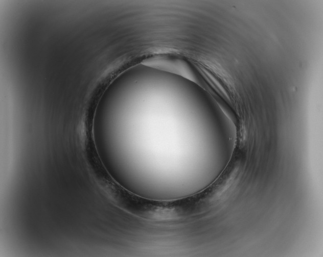X0000094940256200711291359
