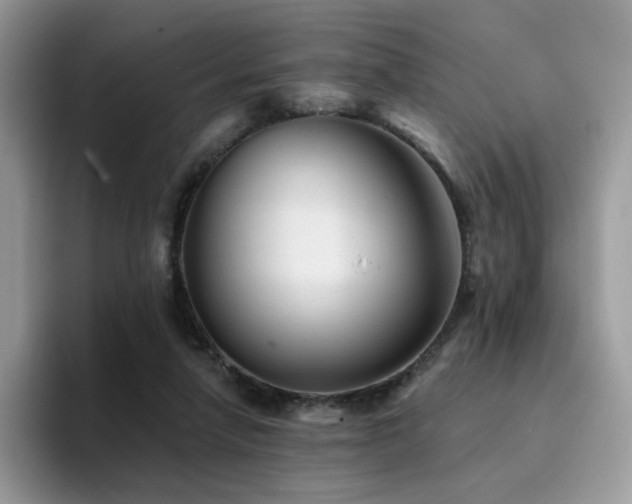 X0000094940258200711291359