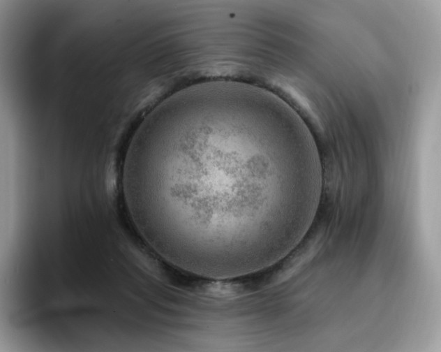 X0000094940261200711291359