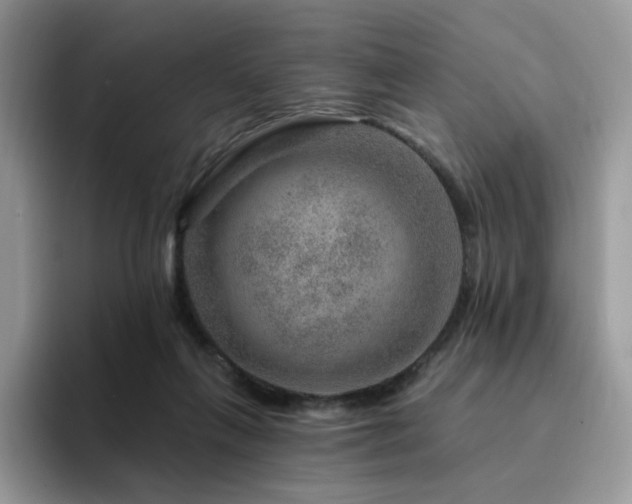 X0000094940263200711291359