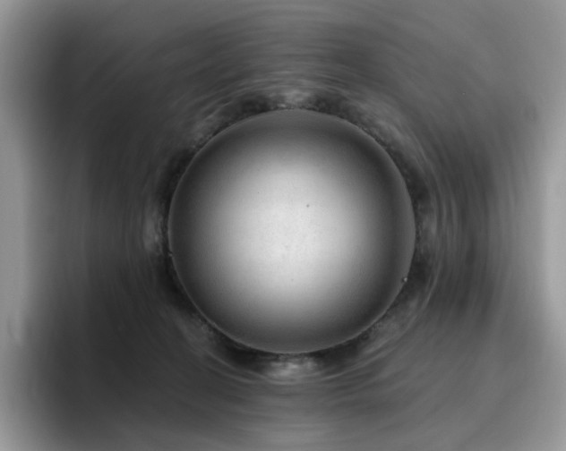 X0000094940274200711291359
