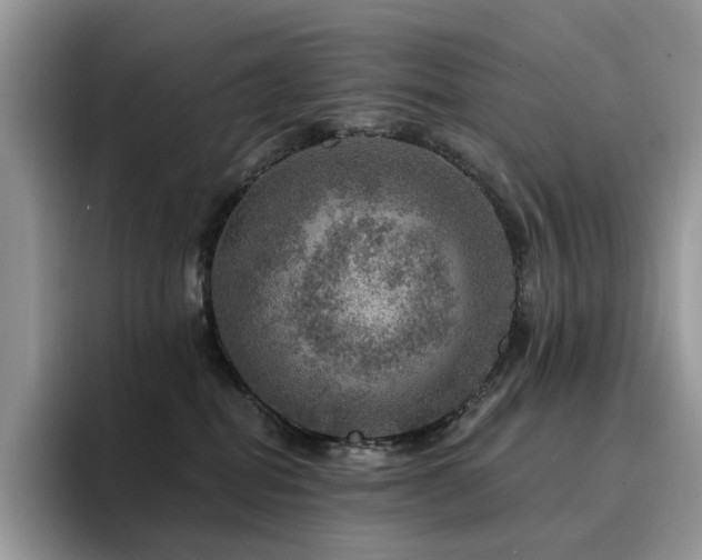 X0000094940282200711291359