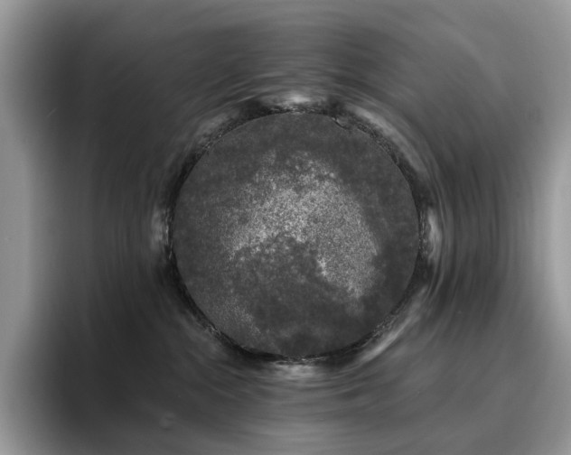 X0000094940284200711291359