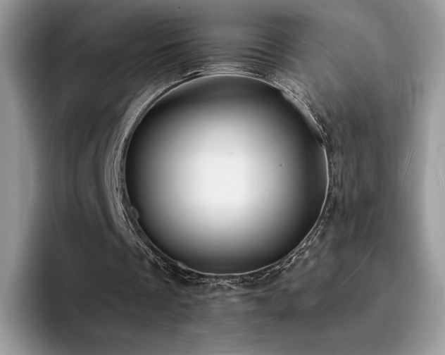 X0000094940289200711291359