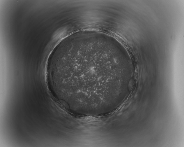 X0000094940290200711291359