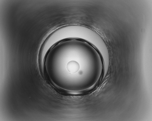 X0000094940292200711291359