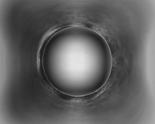 X0000094940294200711291359