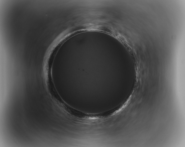 X0000094940295200711291359