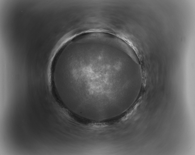 X0000094940296200711291359