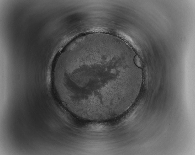 X0000094940299200711291359