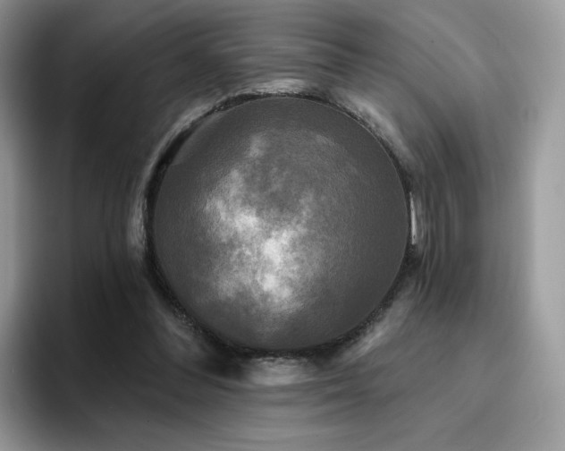 X0000094940300200711291359
