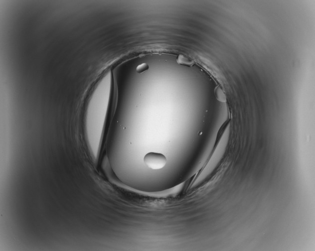 X0000094940301200711291359