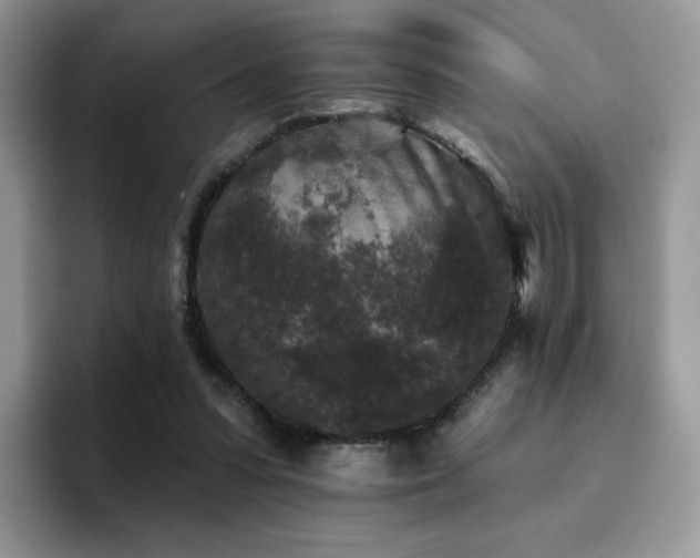 X0000094940303200711291359