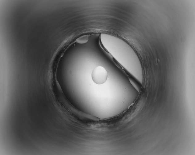 X0000094940304200711291359