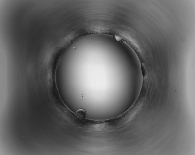 X0000094940306200711291358