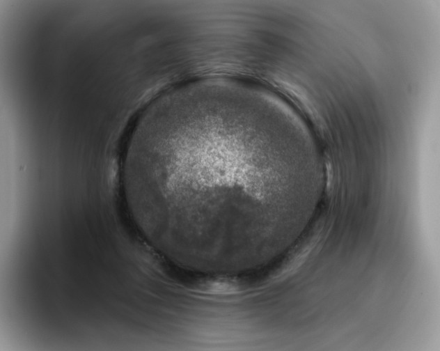 X0000094940308200711291358