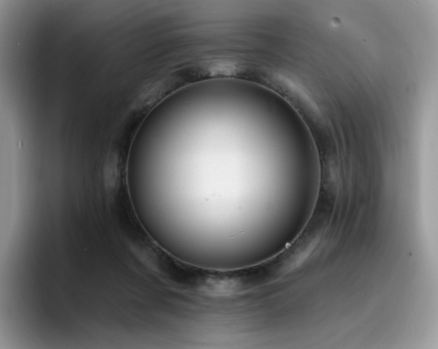 X0000094940311200711291358