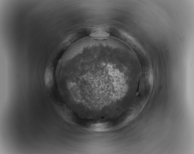 X0000094940312200711291358
