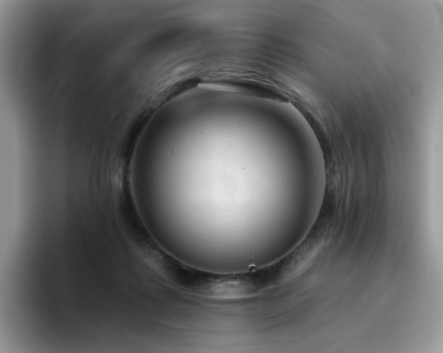 X0000094940315200711291358