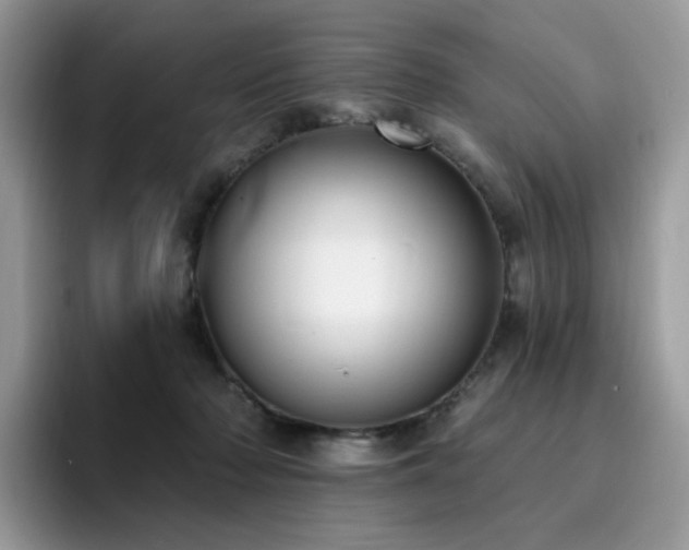 X0000094940318200711291358