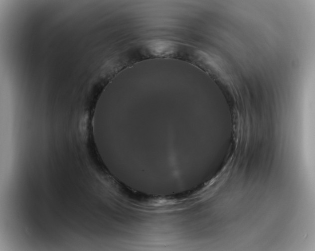 X0000094940319200711291358