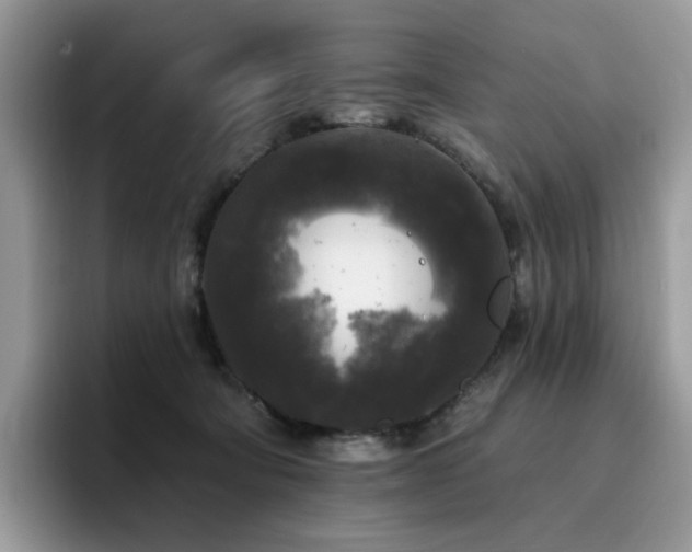 X0000094940322200711291358