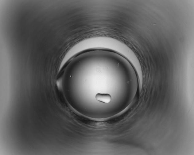 X0000094940324200711291358