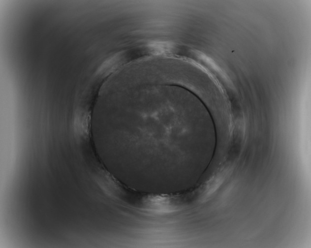 X0000094940325200711291358