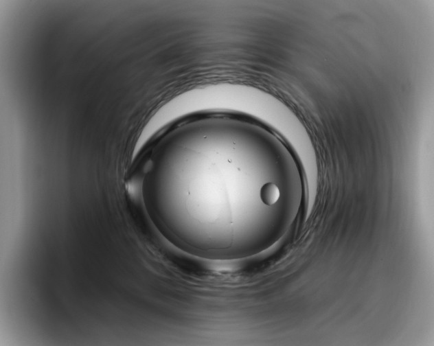 X0000094940328200711291358